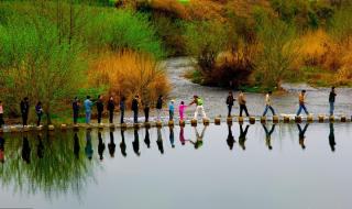清明节古诗大全50首 清明节古诗大全50首