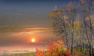 莫斯科郊外的晚上原唱 莫斯科郊外的晚上原唱